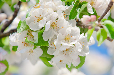 Similar image 13010690