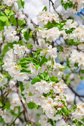 Similar image 13010691