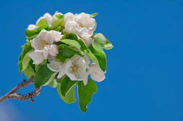 Similar image 13010692