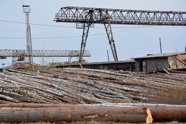 Similar image 13007793