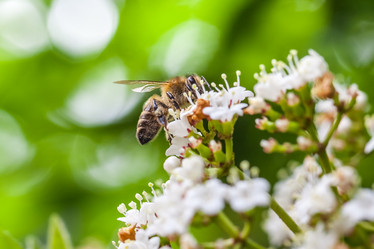 Similar image 13062023