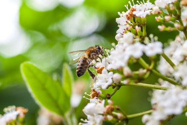 Similar image 13062024