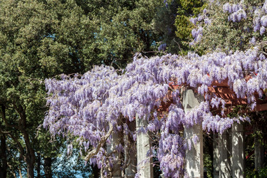 Similar image 13042141