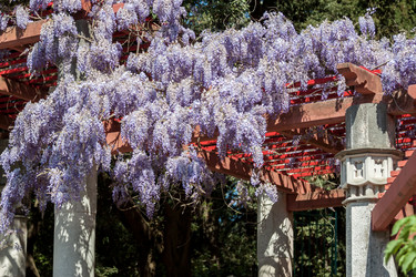 Similar image 13042143