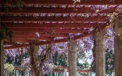 Similar image 13042146