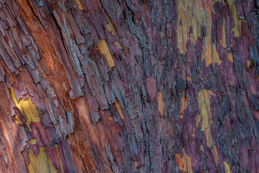 Similar image 13042128