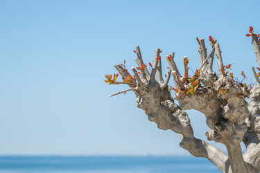 Similar image 13042119