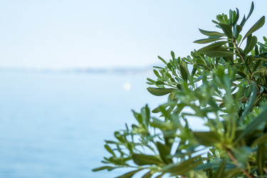 Similar image 13042120