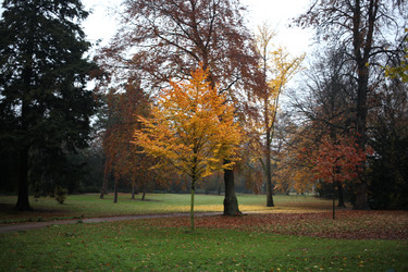 Similar image 13024790