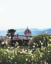 Similar image 13024795