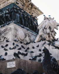 Similar image 13024822