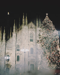 Similar image 13024824