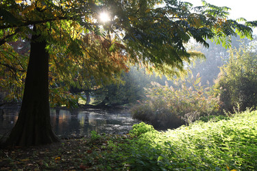 Similar image 13012291