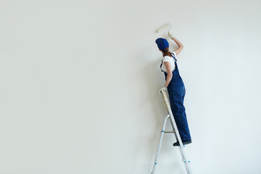 Similar image 13011419