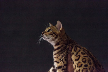 Similar image 13051817