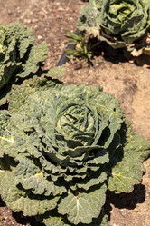 Similar image 13051402