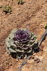 Similar image 13051404