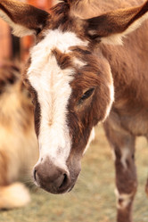 Similar image 13051408