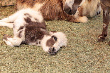 Similar image 13051410