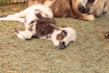 Similar image 13051457