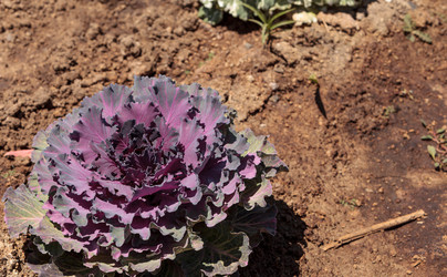 Similar image 13051459