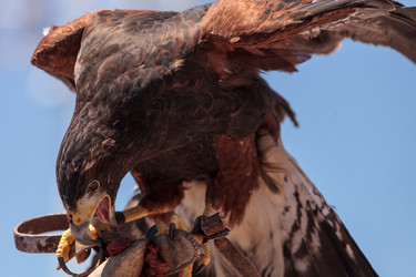 Similar image 13051557