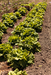 Similar image 13051593