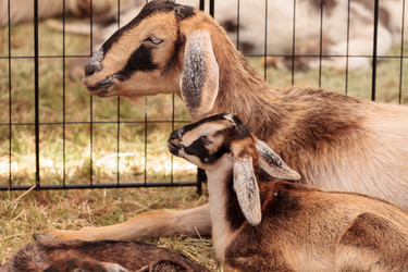 Similar image 13051676