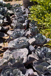 Similar image 13051698