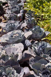 Similar image 13051080