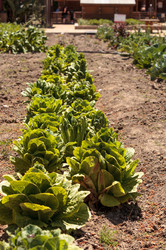 Similar image 13051338