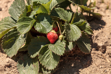 Similar image 13051993