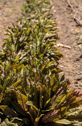 Similar image 13051112