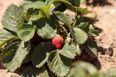 Similar image 13051119