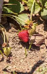 Similar image 13051137