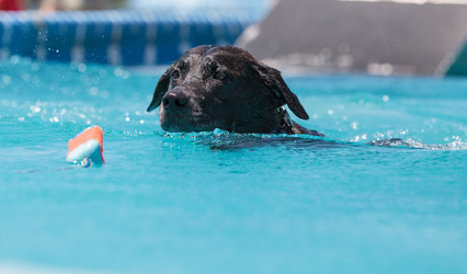 Similar image 13051856