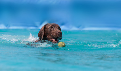 Similar image 13051177