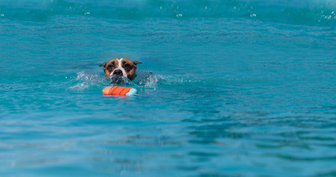 Similar image 13051518