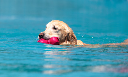 Similar image 13051974