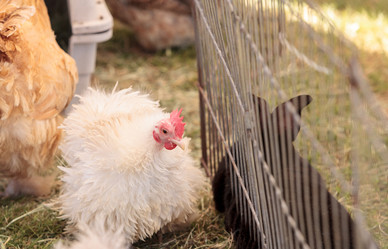 Similar image 13051596