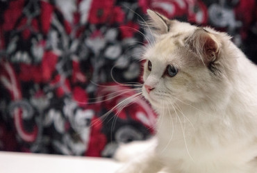 Similar image 13051597