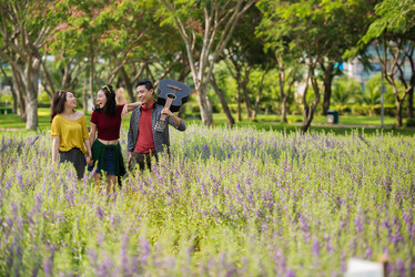 Similar image 13013661