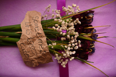 Similar image 13023769