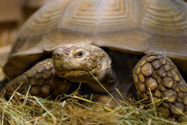 Similar image 13012431