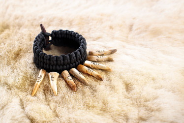 Similar image 13012464