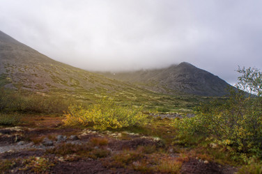 Similar image 13012465