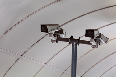 Similar image 13013088