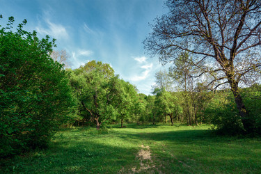 Similar image 13025048