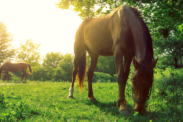 Similar image 13025053