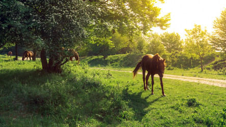 Similar image 13025054